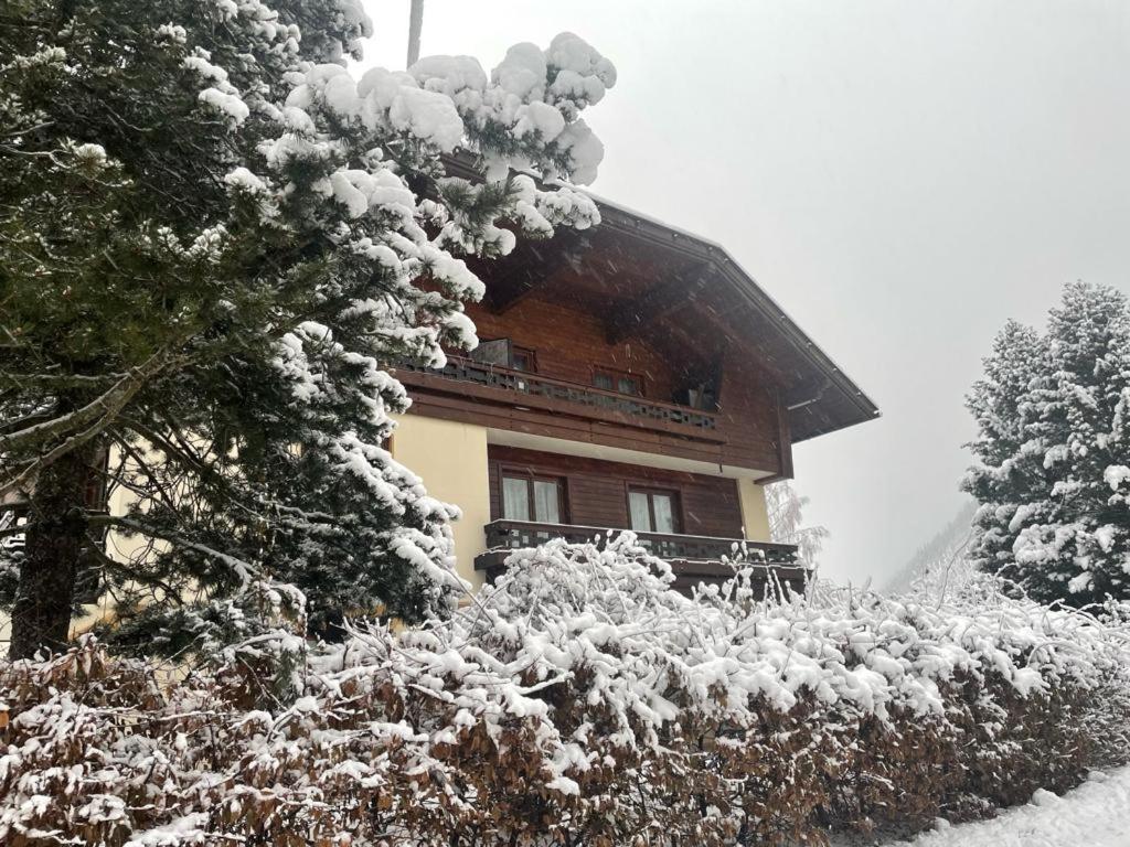 Haus Karin Mallnitz Extérieur photo